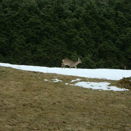 Le Caribou サン・ジェルヴェ・レ・バン