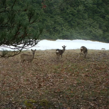 Le Caribou Alpesi faház