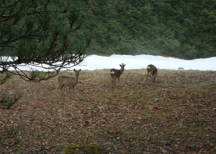 Le Caribou Domek alpejski